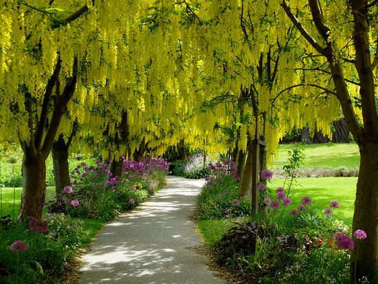 Ogród botaniczny VanDusen